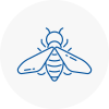 Bee Nest Removal Stanford Le Hope