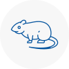 Rat Control Stanford Le Hope