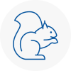 Stanford Le Hope Rodent Removals