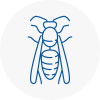 Stanford Le Hope Wasp Nest Removal